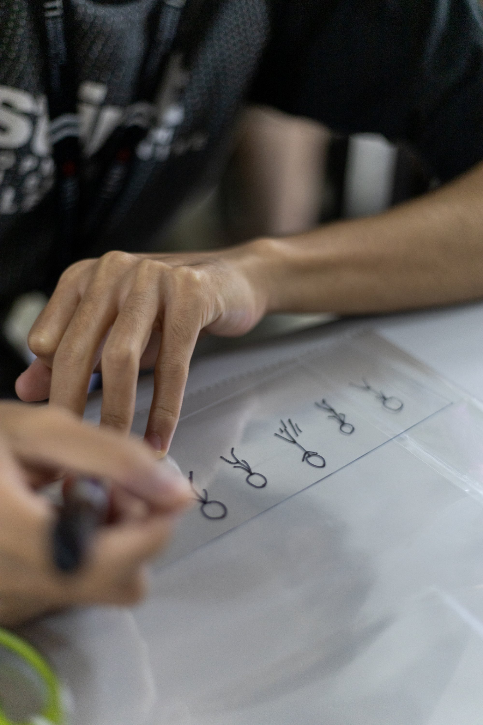 From Magic Illusions to Animation: Discovering the Secrets of Moving Images